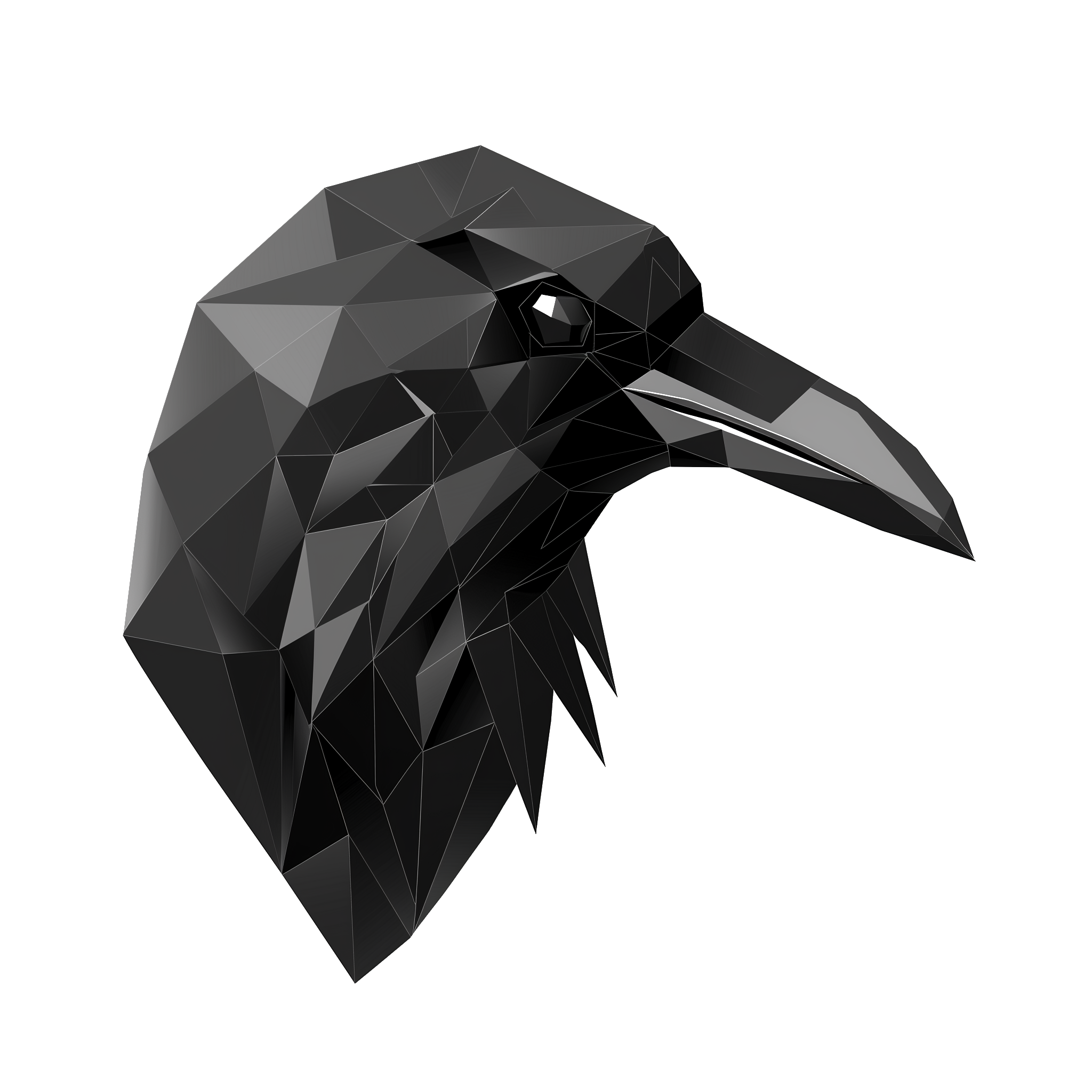 Raven